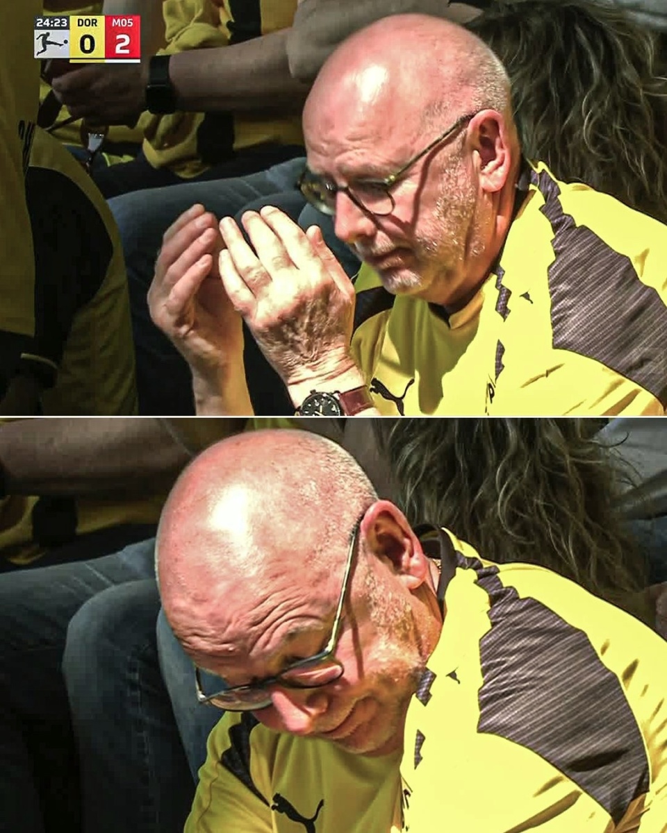 贝博体育-包含国际比赛日体能课后，布鲁克林篮网伤情更新备战德甲，话题不断，赛季目标并未改变的词条-贝博体育